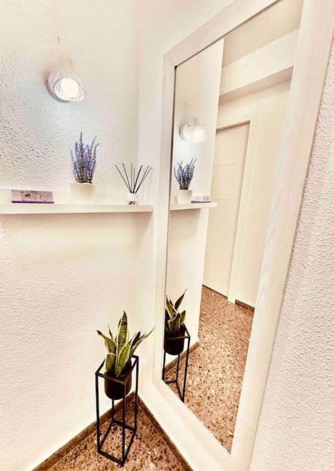 Citadella Apartment Puerto de Sagunto Exterior foto