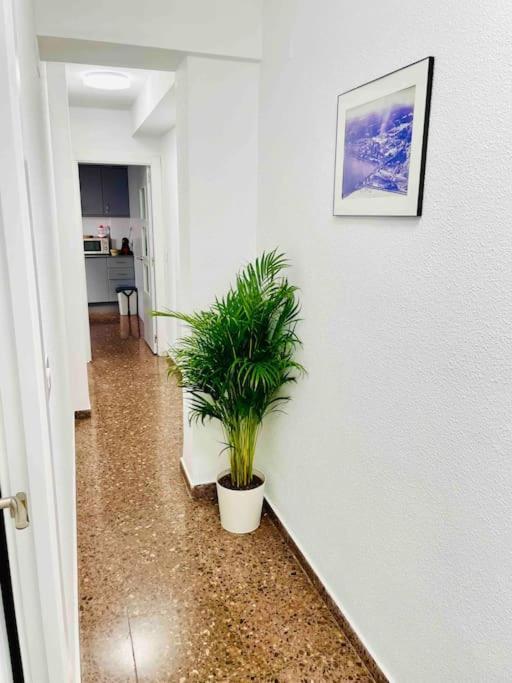 Citadella Apartment Puerto de Sagunto Exterior foto